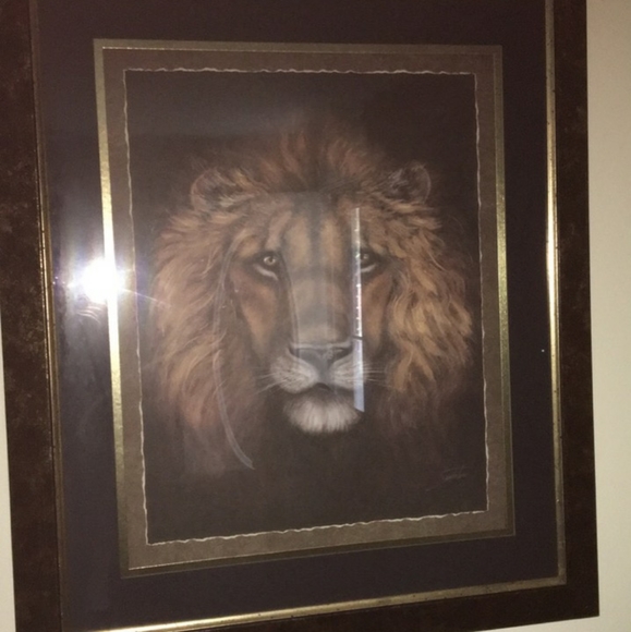 Safari pictures